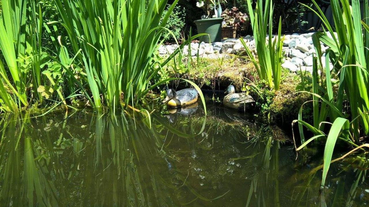 Albler-Nest Auf Hofgut Kuche Apartment Burladingen ภายนอก รูปภาพ
